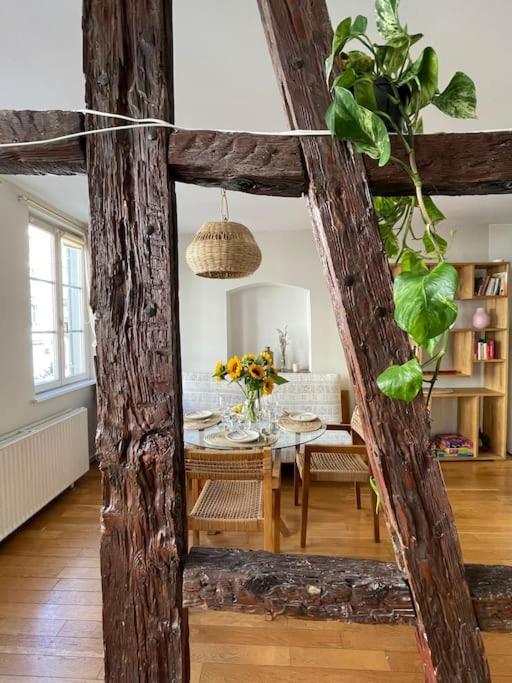 Appartement 2 Chambres Au Coeur De Страсбург Екстериор снимка