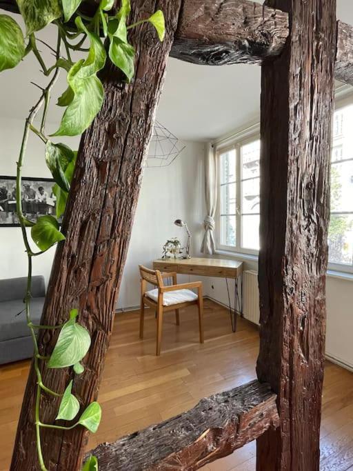 Appartement 2 Chambres Au Coeur De Страсбург Екстериор снимка