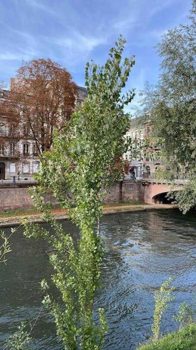 Appartement 2 Chambres Au Coeur De Страсбург Екстериор снимка