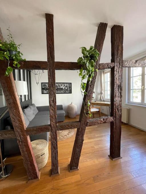 Appartement 2 Chambres Au Coeur De Страсбург Екстериор снимка
